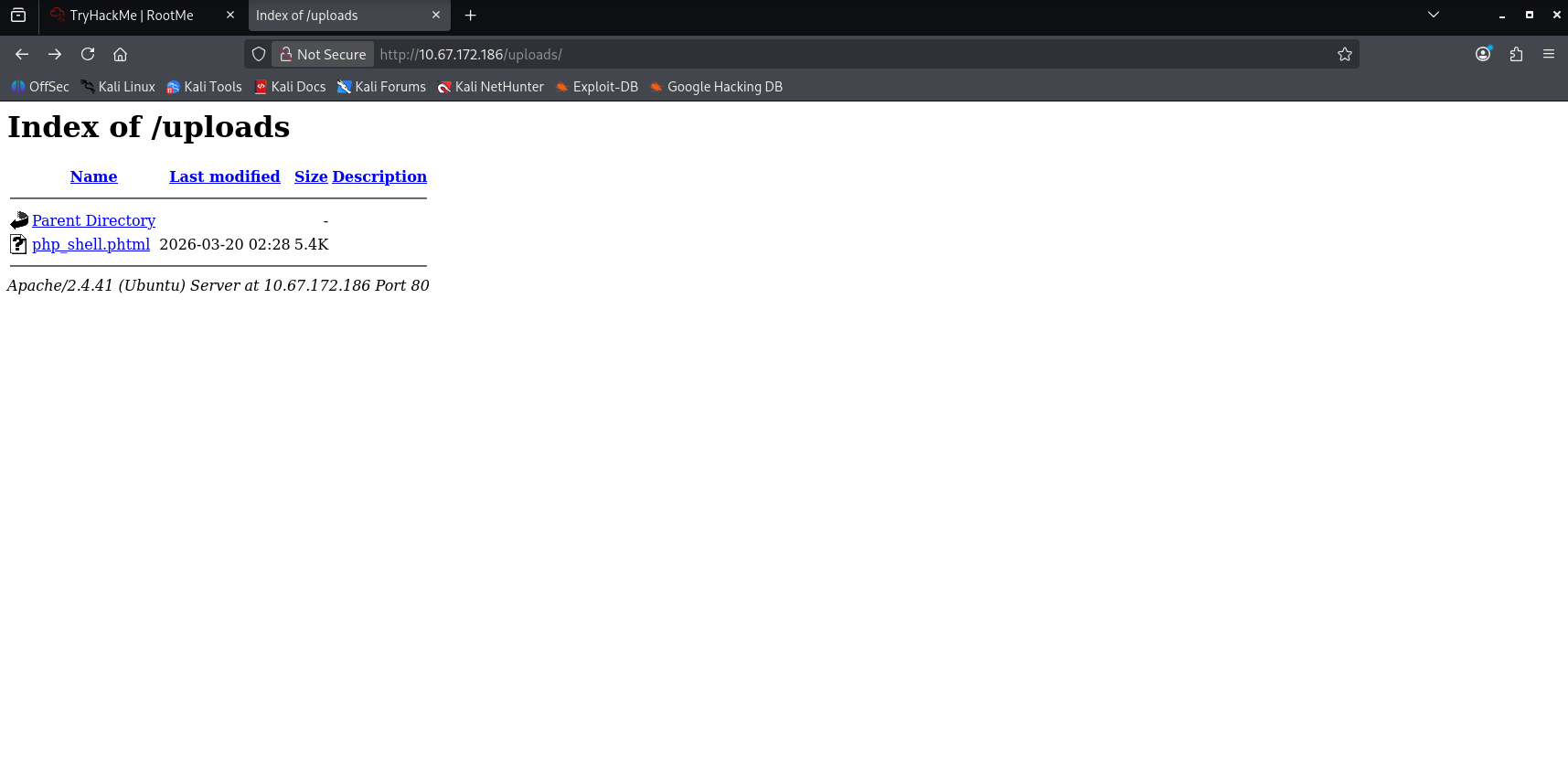 File Upload Bypass